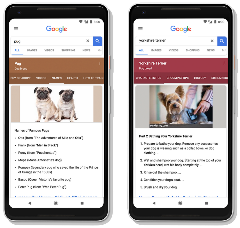 Dynamic Organization of Search results