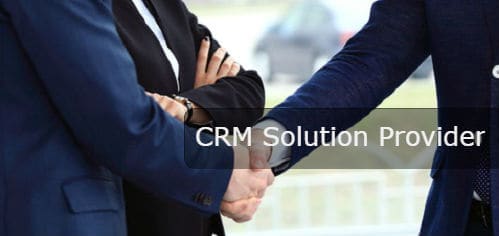 CRM Consulting Services
