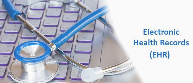 Healthcare EHR System Development Service