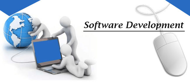 Software Development Company USA & India