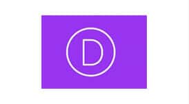 divi logo WordPress Development