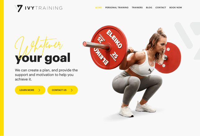 ivy training portfolio img new WordPress Development